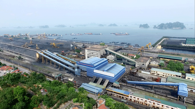 Tinh giản hiệu quả cấp quản lý trung gian: Kinh nghiệm từ Tuyển than Cửa Ông